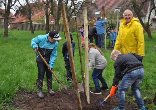 Pflanzaktion © Förderverein