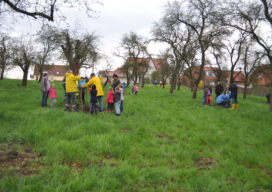 Pflanzaktion © Förderverein