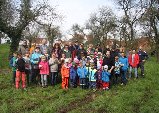 Pflanzaktion © Förderverein