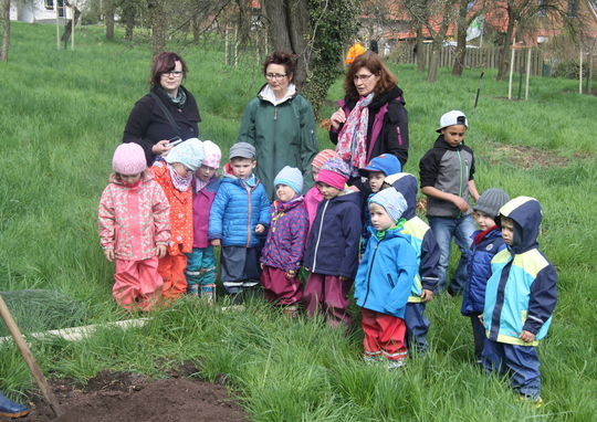 Pflanzaktion © Förderverein