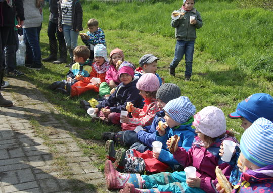 Pflanzaktion © Förderverein