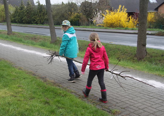 Pflanzaktion © Förderverein