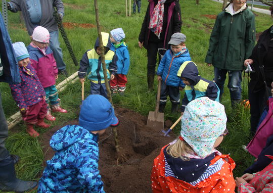 Pflanzaktion © Förderverein