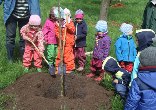 Pflanzaktion © Förderverein