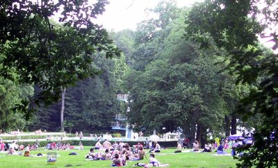 Foto Waldbad Birkerteich - Badegäste auf der Liegewiese mit altem Baumbestand