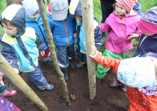 Pflanzaktion © Förderverein